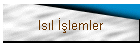 Is�l ��lemler