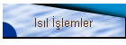 Is�l ��lemler