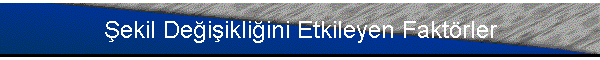 �ekil De�i�ikli�ini Etkileyen Fakt�rler