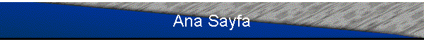 Ana Sayfa